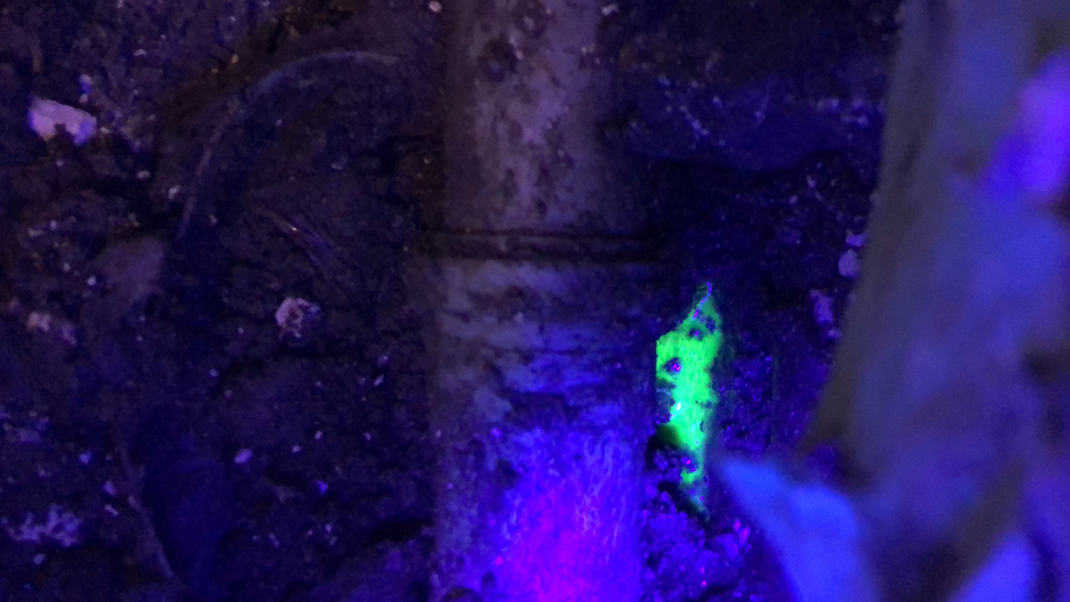 Fluorescencyjny